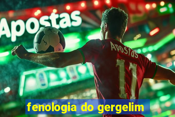 fenologia do gergelim